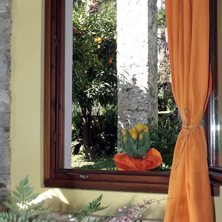 La Limonaia