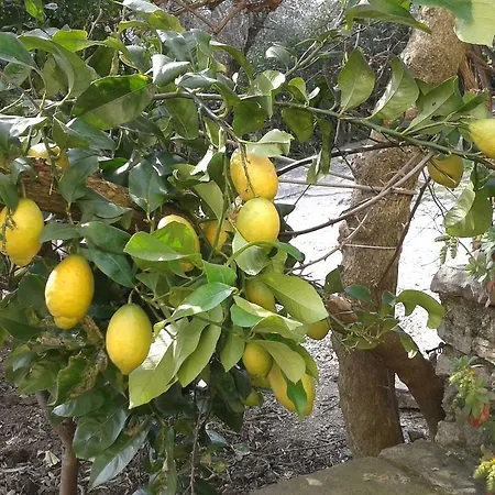 Aparthotel La Limonaia Gargnano