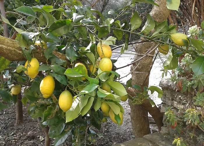 アパートホテル La Limonaia ガルニャーノ